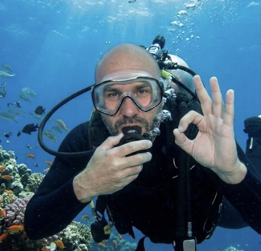 balazs dive2